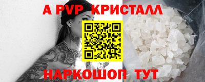 СК Донской